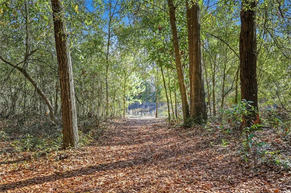 8920 NE 8TH PLACE High Springs, FL 32643