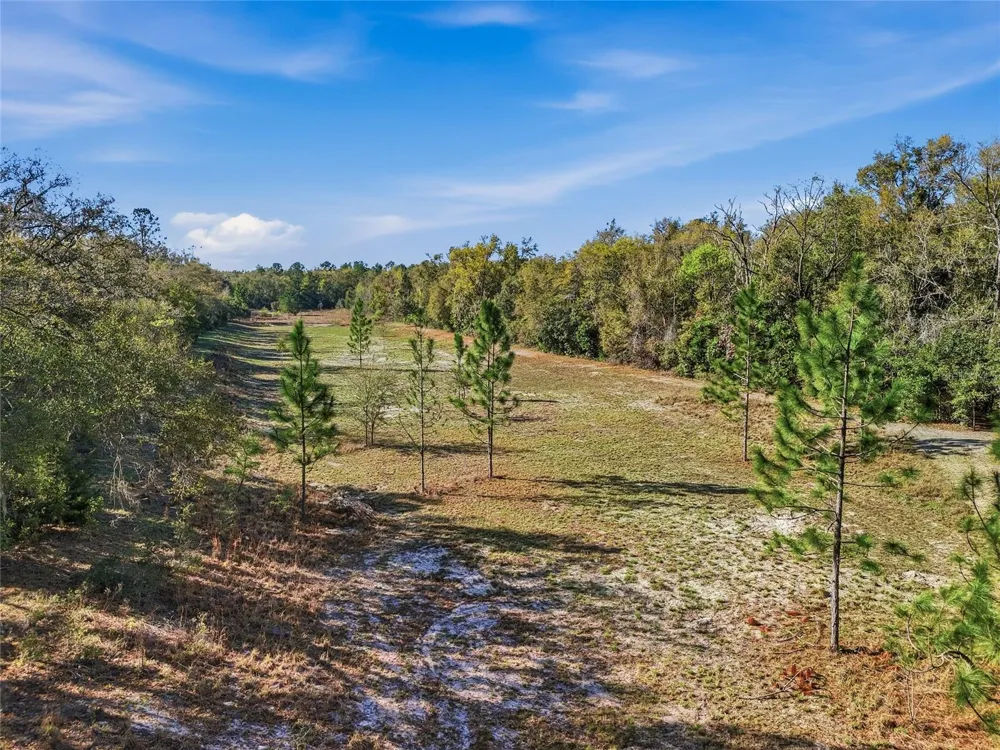 8920 NE 8TH PLACE High Springs, FL 32643