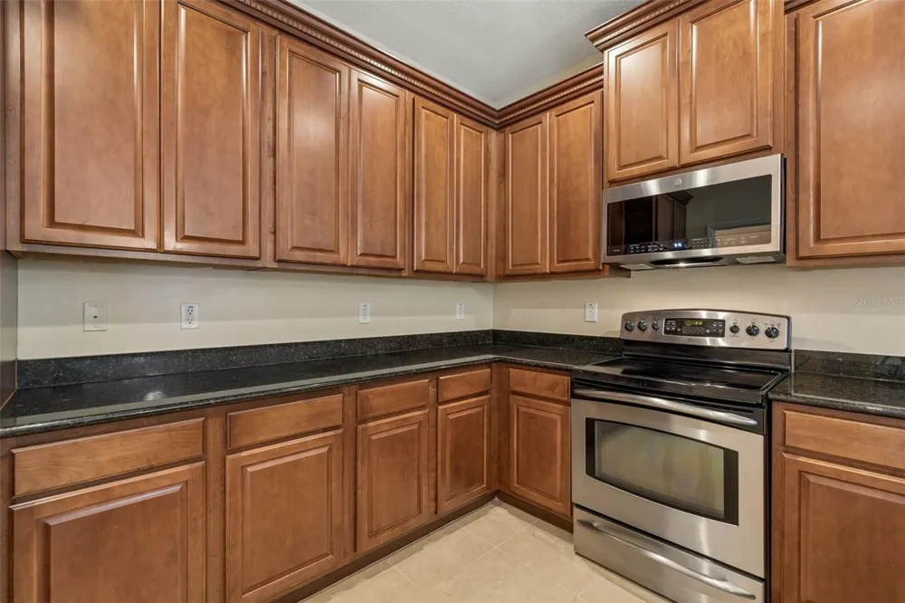 20112 INDIAN ROSEWOOD DRIVE Tampa, FL 33647