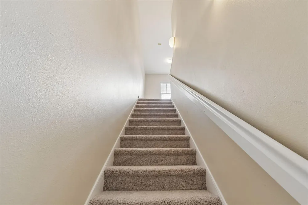 20112 INDIAN ROSEWOOD DRIVE Tampa, FL 33647