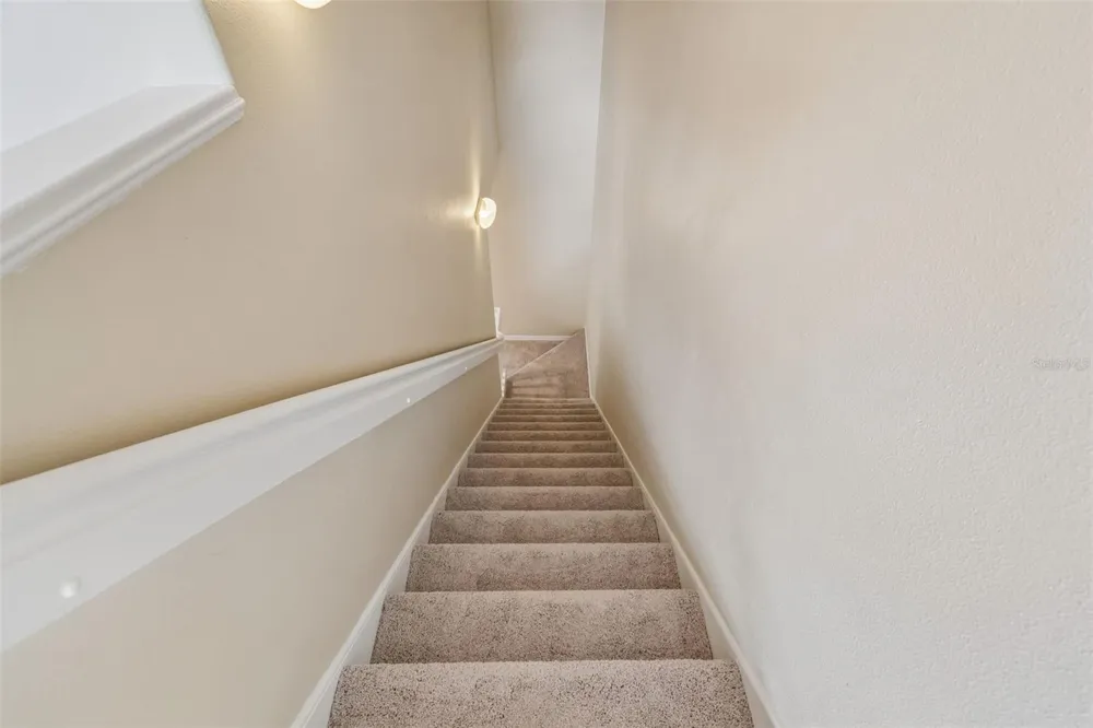 20112 INDIAN ROSEWOOD DRIVE Tampa, FL 33647