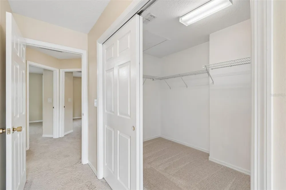 20112 INDIAN ROSEWOOD DRIVE Tampa, FL 33647