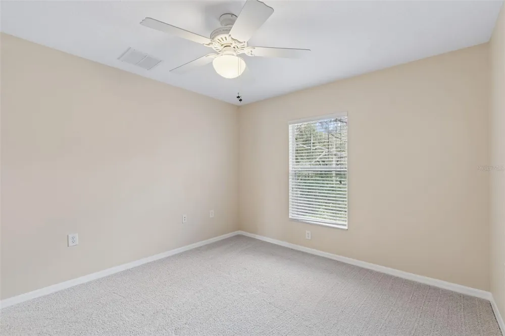 20112 INDIAN ROSEWOOD DRIVE Tampa, FL 33647