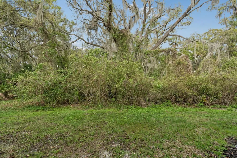 20112 INDIAN ROSEWOOD DRIVE Tampa, FL 33647