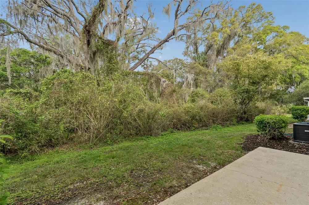 20112 INDIAN ROSEWOOD DRIVE Tampa, FL 33647