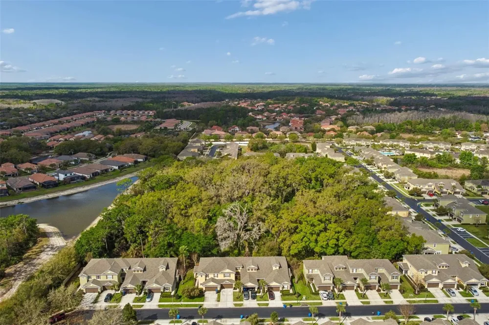 20112 INDIAN ROSEWOOD DRIVE Tampa, FL 33647