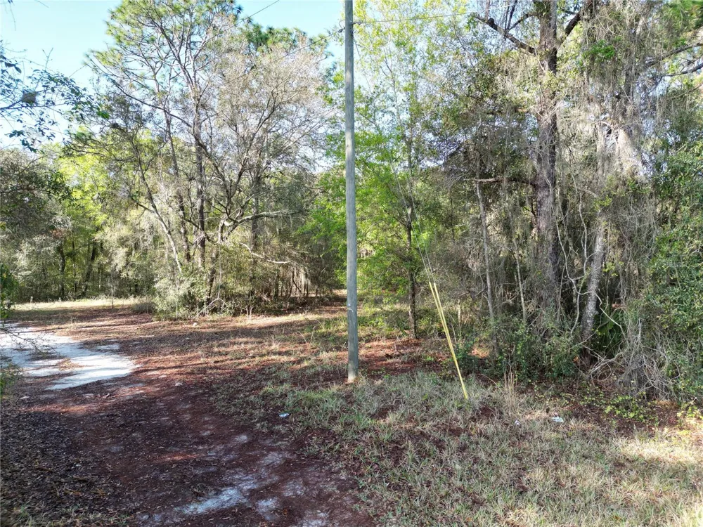 0000 E HWY 25 Belleview, FL 34420