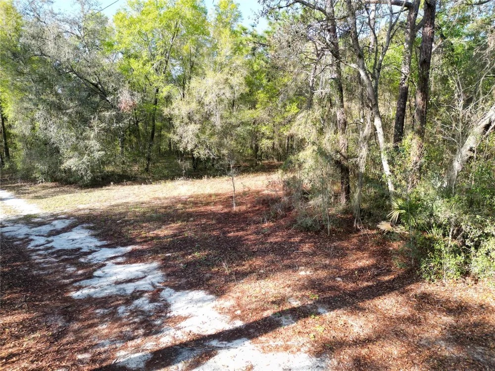 0000 E HWY 25 Belleview, FL 34420