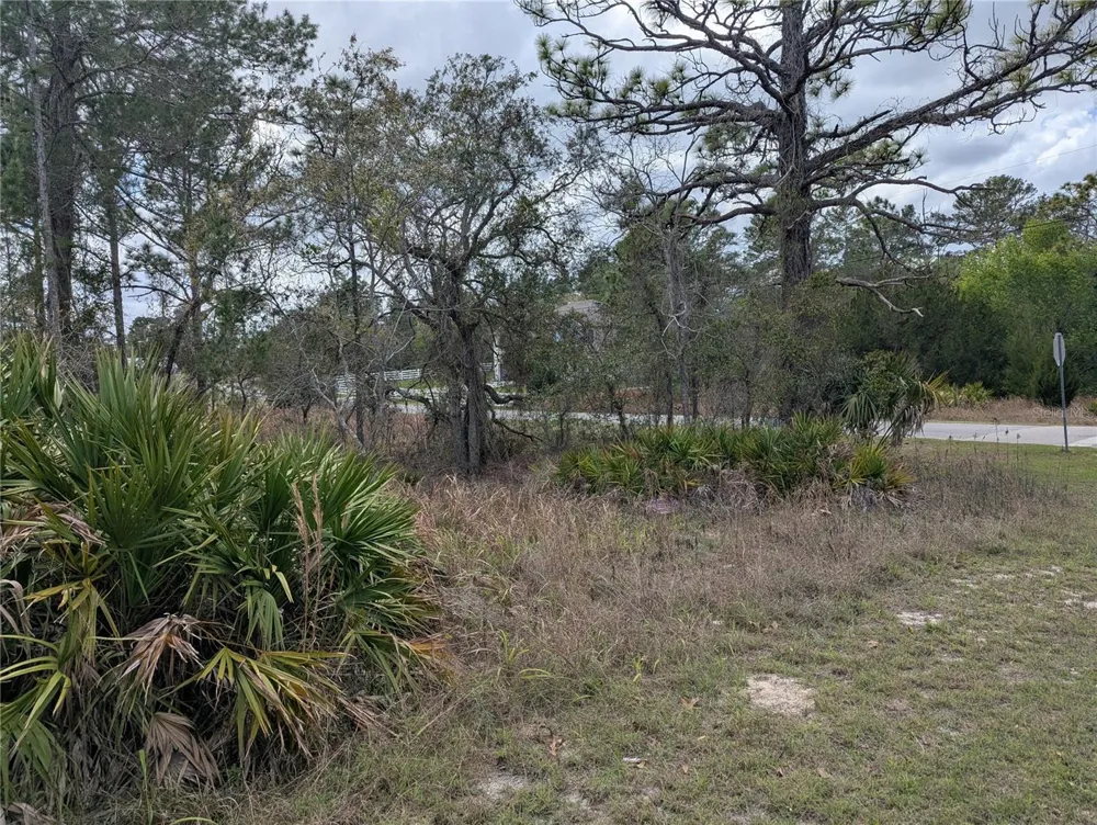 0 MAZETTE ROAD Weeki Wachee, FL 34613