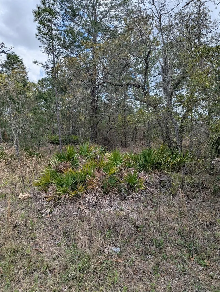 0 MAZETTE ROAD Weeki Wachee, FL 34613