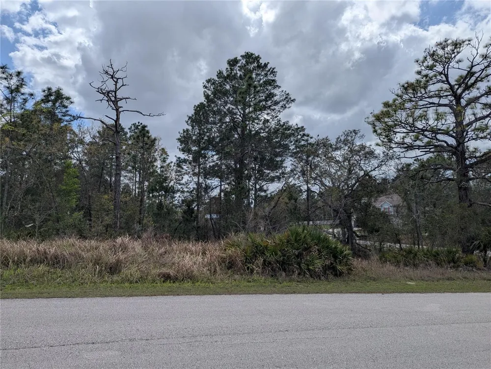 0 MAZETTE ROAD Weeki Wachee, FL 34613