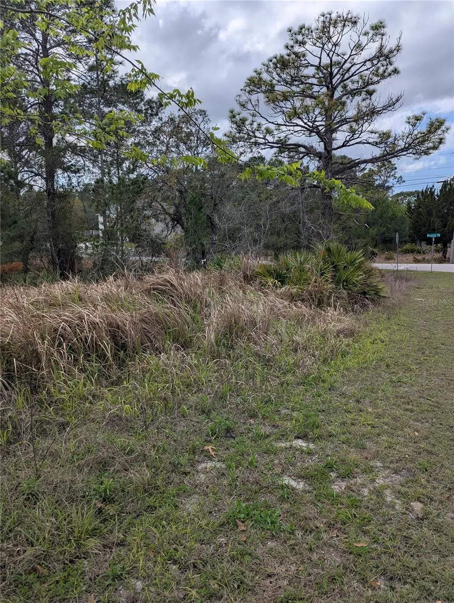 0 MAZETTE ROAD Weeki Wachee, FL 34613