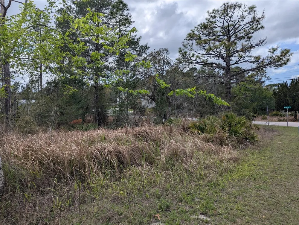 0 MAZETTE ROAD Weeki Wachee, FL 34613