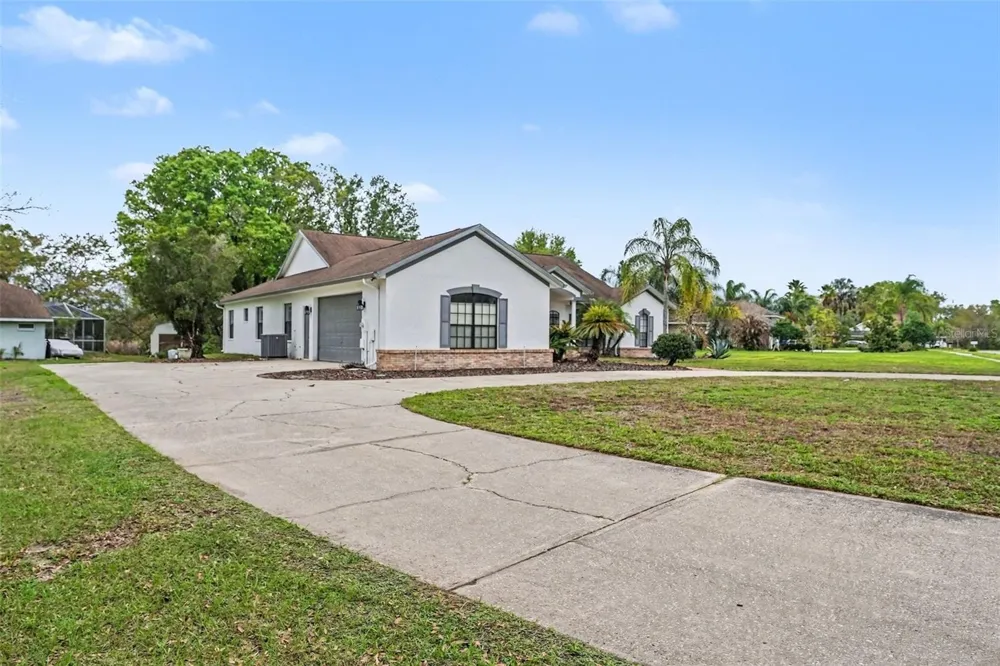 19216 RIDGELAKE DRIVE Lutz, FL 33549