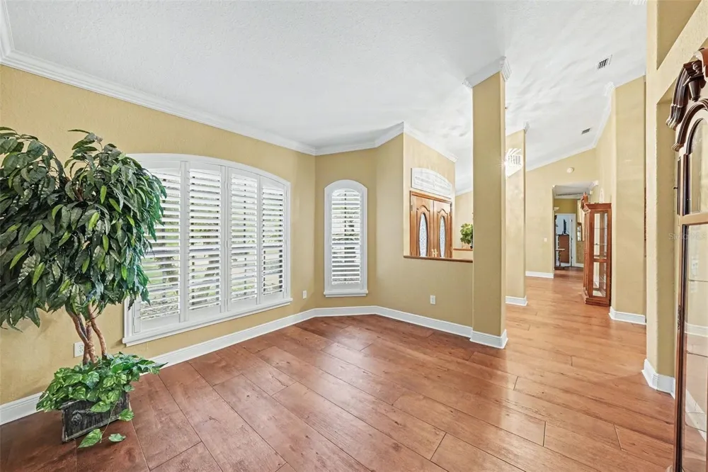 19216 RIDGELAKE DRIVE Lutz, FL 33549
