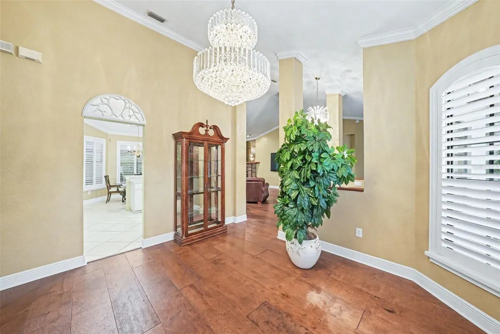19216 RIDGELAKE DRIVE Lutz, FL 33549