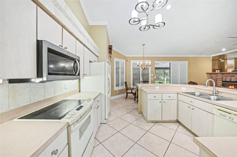 19216 RIDGELAKE DRIVE Lutz, FL 33549