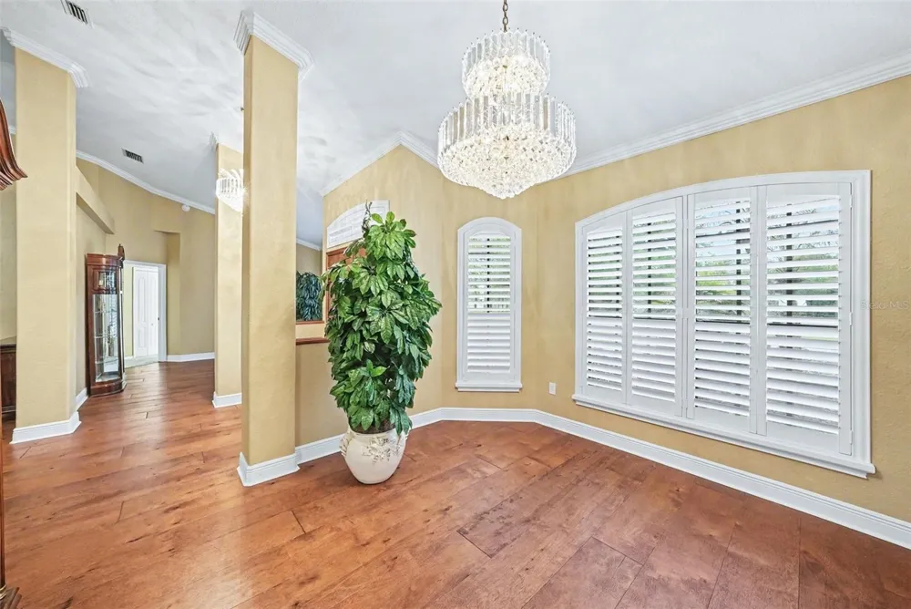 19216 RIDGELAKE DRIVE Lutz, FL 33549