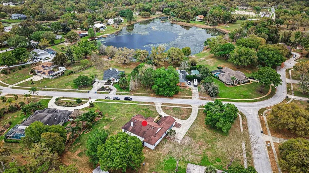 19216 RIDGELAKE DRIVE Lutz, FL 33549