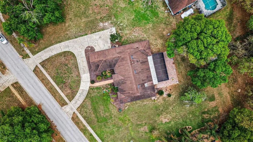 19216 RIDGELAKE DRIVE Lutz, FL 33549