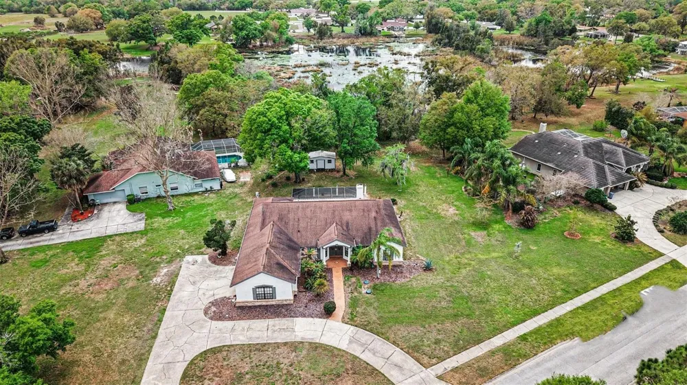 19216 RIDGELAKE DRIVE Lutz, FL 33549