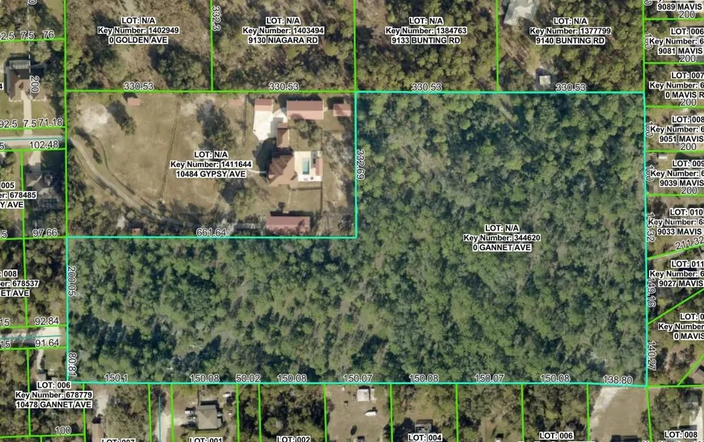 0 GANNET AVENUE Weeki Wachee, FL 34613