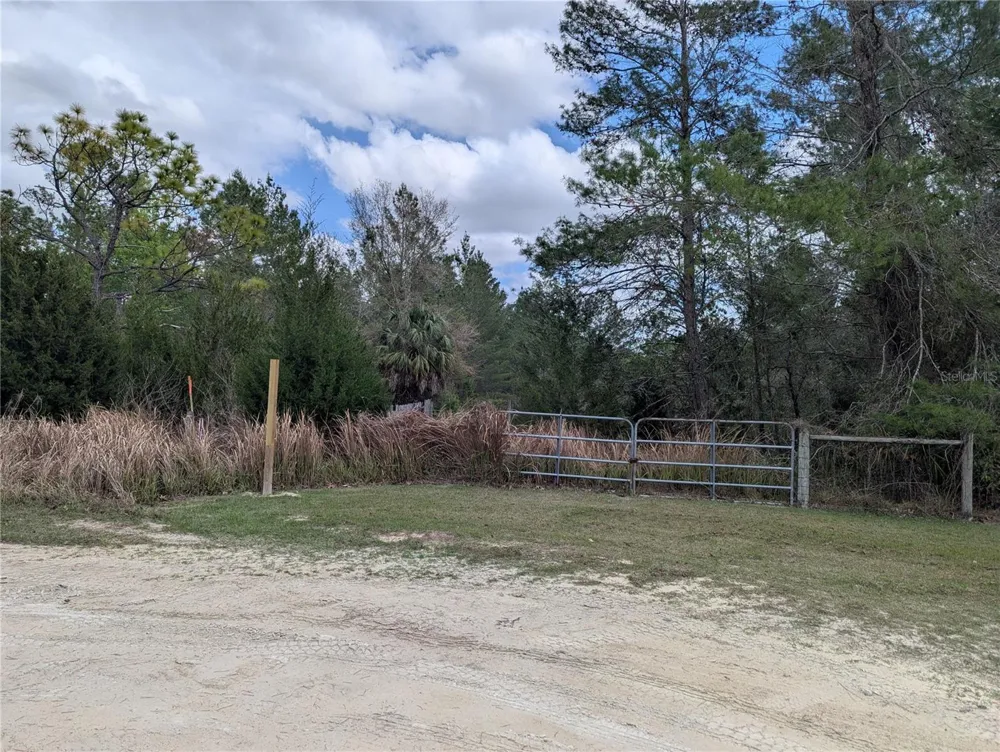 0 GANNET AVENUE Weeki Wachee, FL 34613
