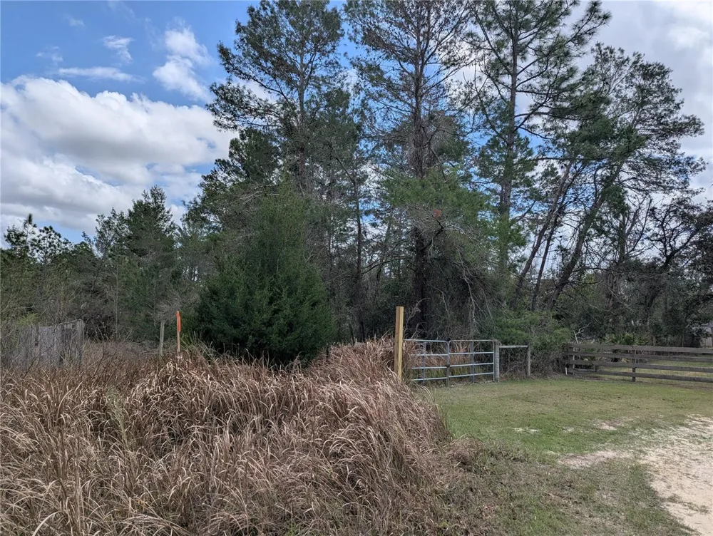 0 GANNET AVENUE Weeki Wachee, FL 34613