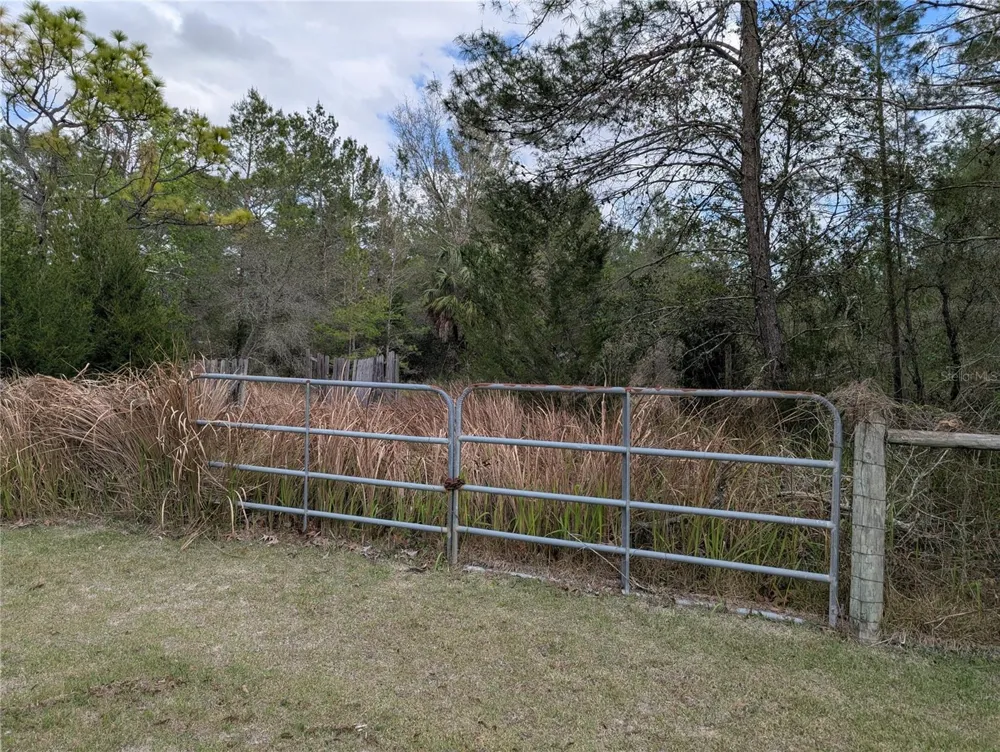 0 GANNET AVENUE Weeki Wachee, FL 34613