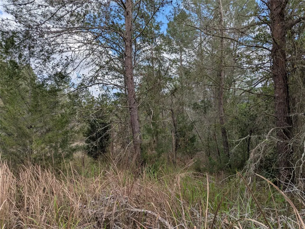 0 GANNET AVENUE Weeki Wachee, FL 34613