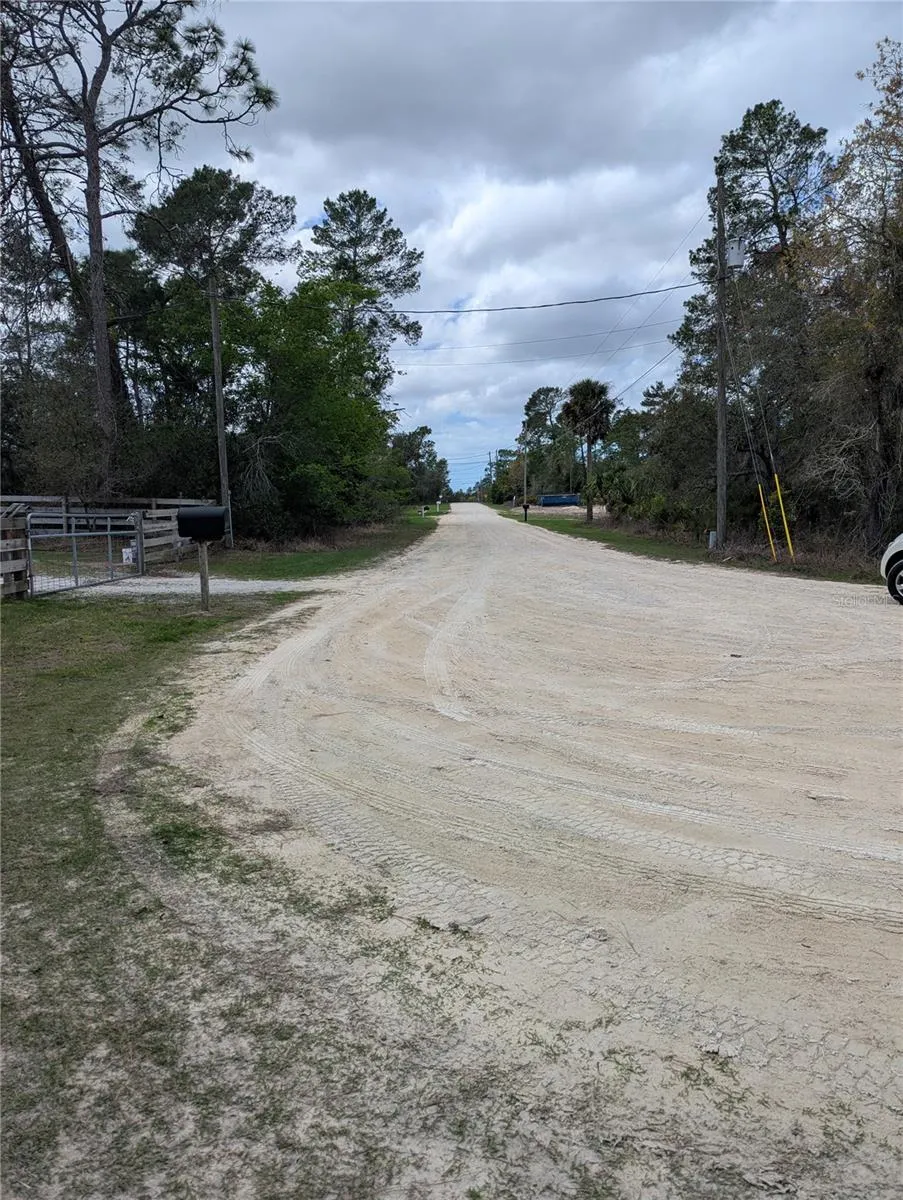 0 GANNET AVENUE Weeki Wachee, FL 34613