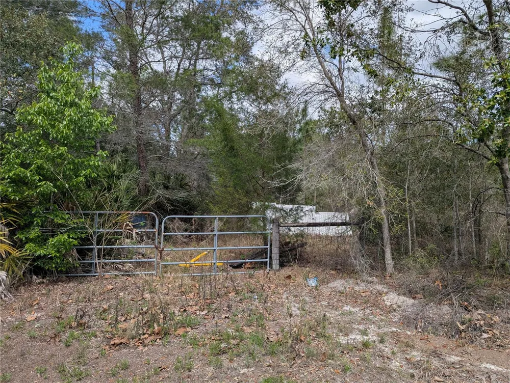 0 GANNET AVENUE Weeki Wachee, FL 34613