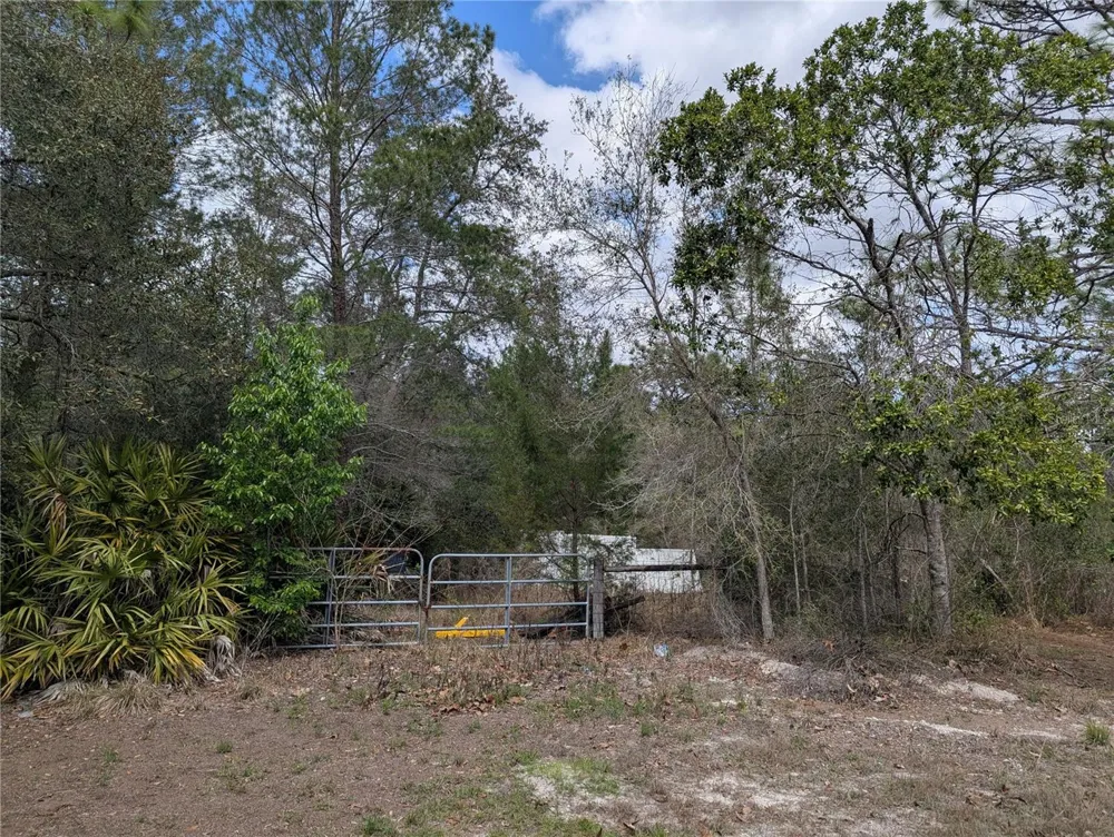 0 GANNET AVENUE Weeki Wachee, FL 34613