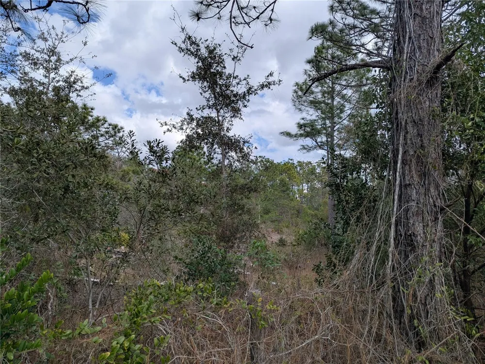 0 GANNET AVENUE Weeki Wachee, FL 34613