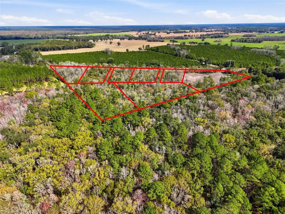 20994 SW COUNTY ROAD 18 #Lot 1 Brooker, FL 32622