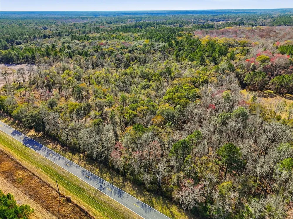 20994 SW COUNTY ROAD 18 #Lot 1 Brooker, FL 32622