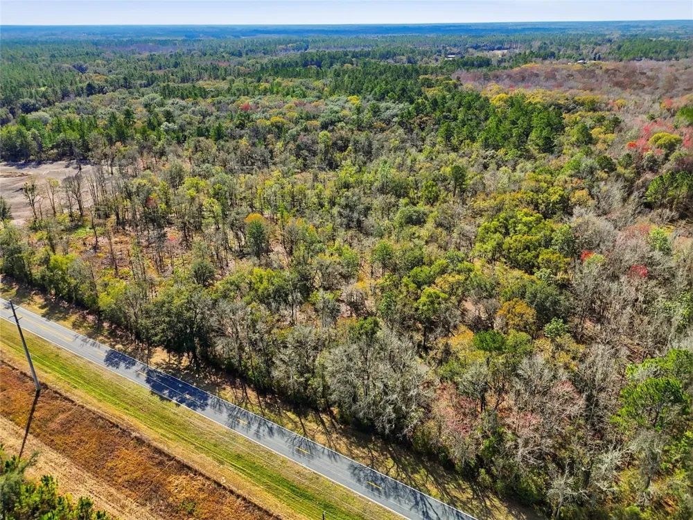 20994 SW COUNTY ROAD 18 #Lot 1 Brooker, FL 32622