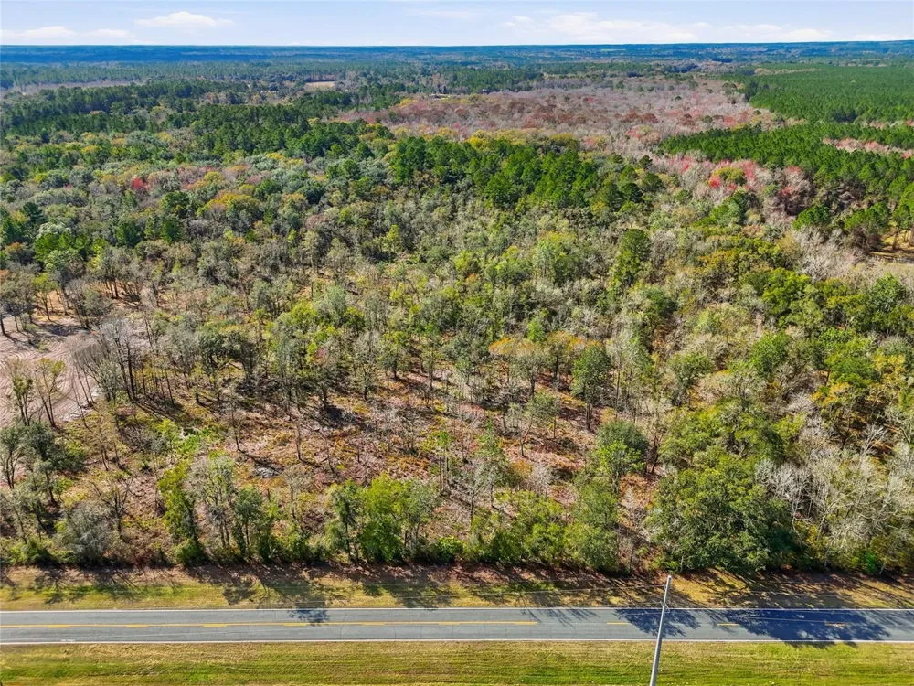 20994 SW COUNTY ROAD 18 #Lot 1 Brooker, FL 32622