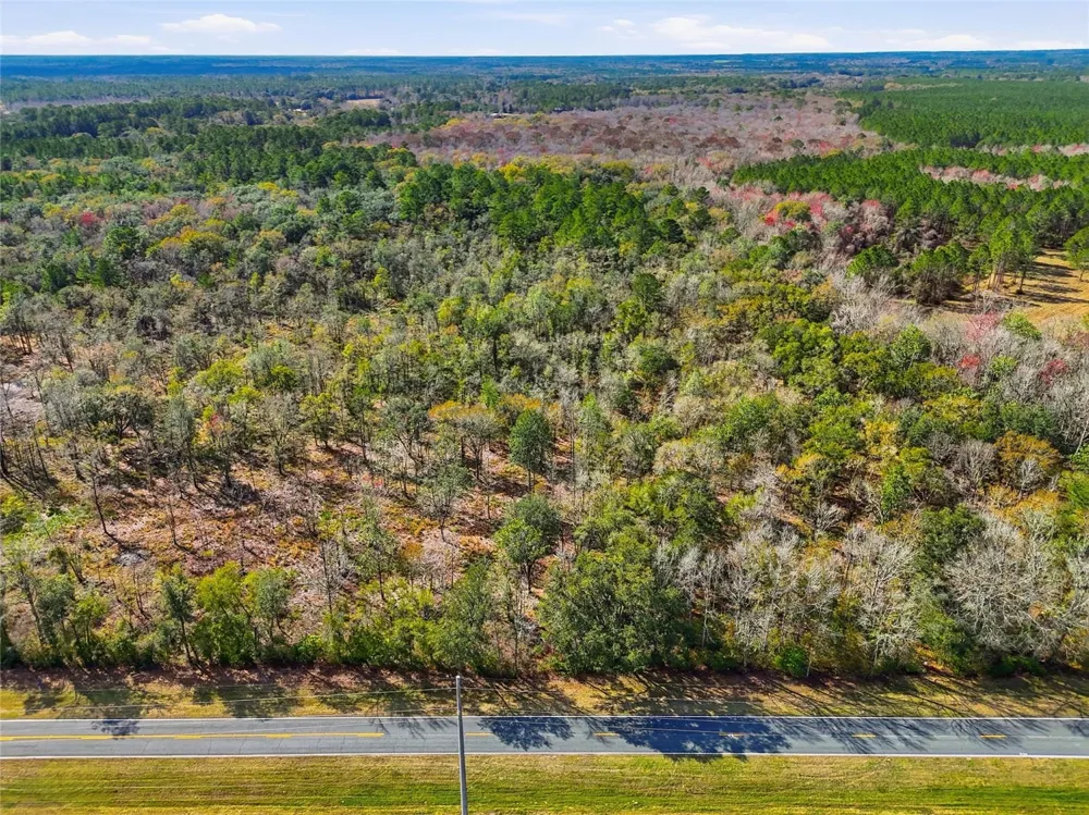 20994 SW COUNTY ROAD 18 #Lot 1 Brooker, FL 32622