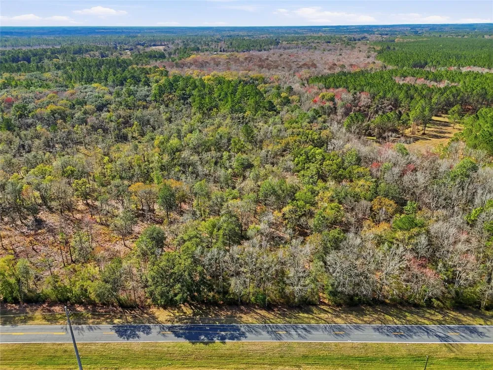 20994 SW COUNTY ROAD 18 #Lot 1 Brooker, FL 32622
