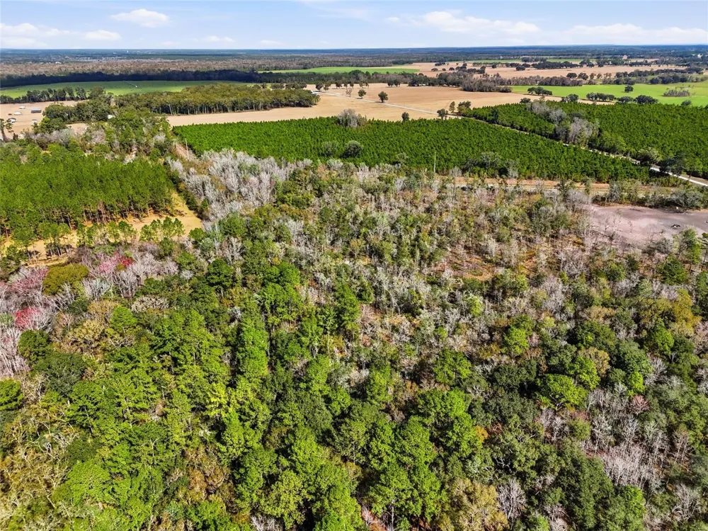 20994 SW COUNTY ROAD 18 #Lot 1 Brooker, FL 32622