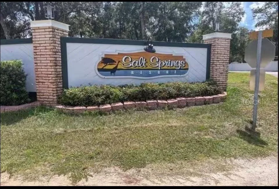 25146 NE 140TH LOOP #71 Salt Springs, FL 32134