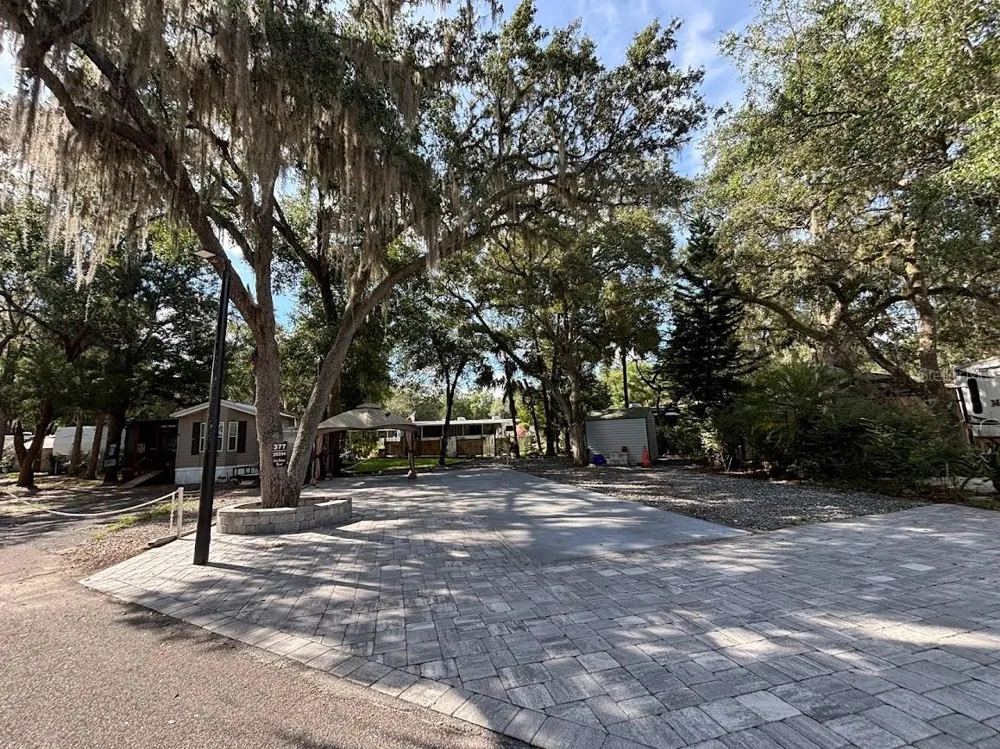 25314 NE 141ST STREET #377 Salt Springs, FL 32134