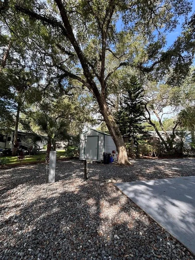 25314 NE 141ST STREET #377 Salt Springs, FL 32134