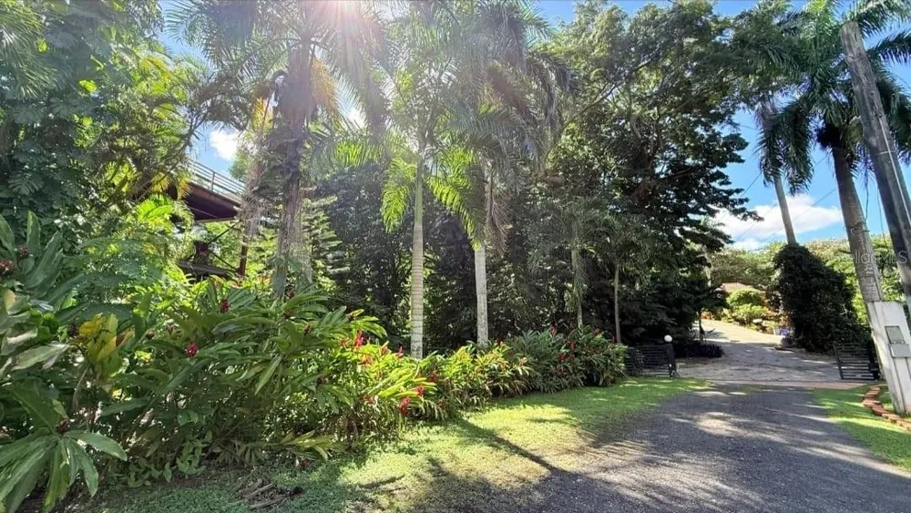 177 VANDA STREET Guaynabo, PR 00966