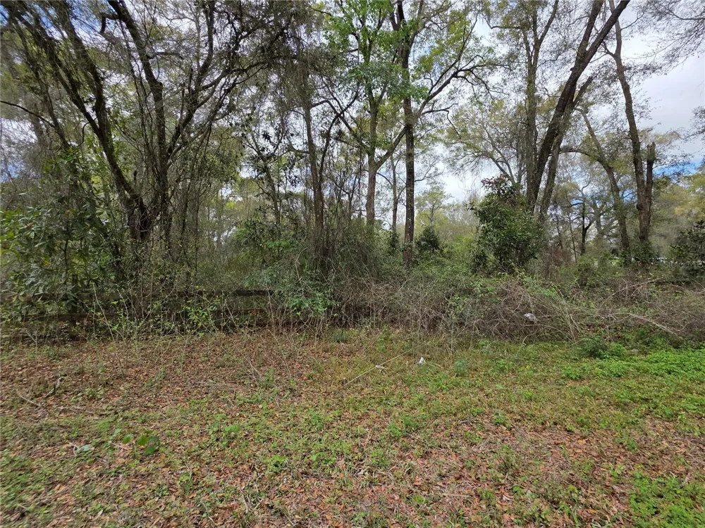 00 SE 30TH AVENUE Summerfield, FL 34491