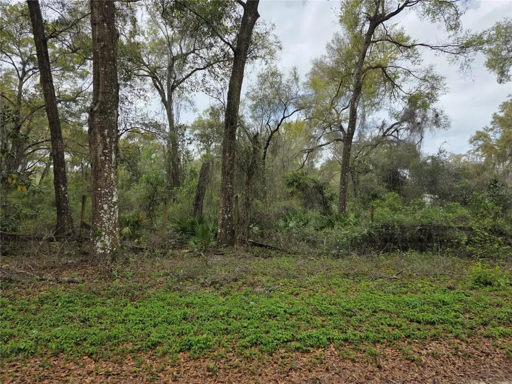 00 SE 30TH AVENUE Summerfield, FL 34491