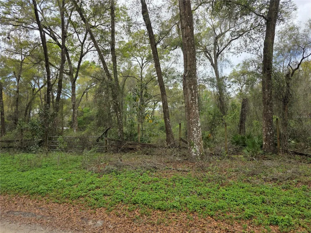 00 SE 30TH AVENUE Summerfield, FL 34491