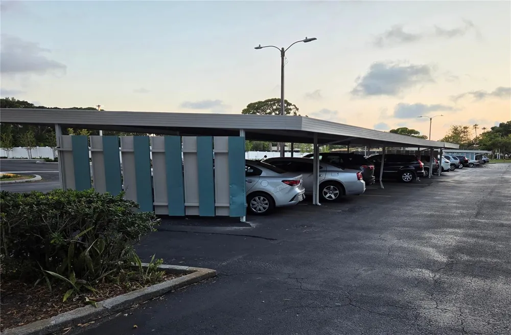 5925 TERRACE PARK DRIVE #111 St Petersburg, FL 33709