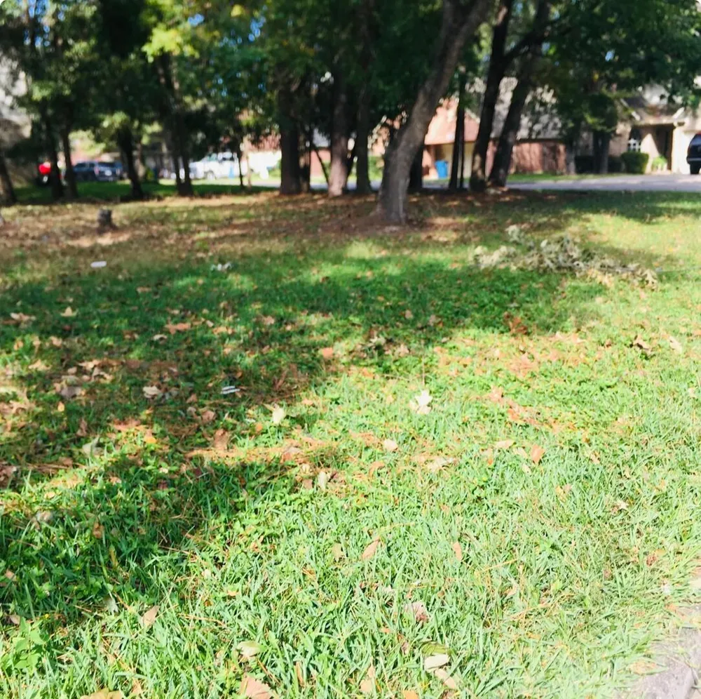 8630 Discus Drive Humble, TX 77346